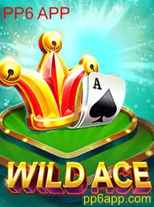 Explorando o Mundo de WildAce: A Nova Sensação dos Jogos com PP6 APP